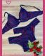 CONJUNTO TRIO PRE MOLDADO SO RENDA FORRADO DE TACTEL BOJO MONO FIO E TANGA