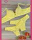 CONJUNTO TRIO PRE MOLDADO TACTEL COM RENDA ELASTICO DUPLO STRASS ALCA FIO E TANGA